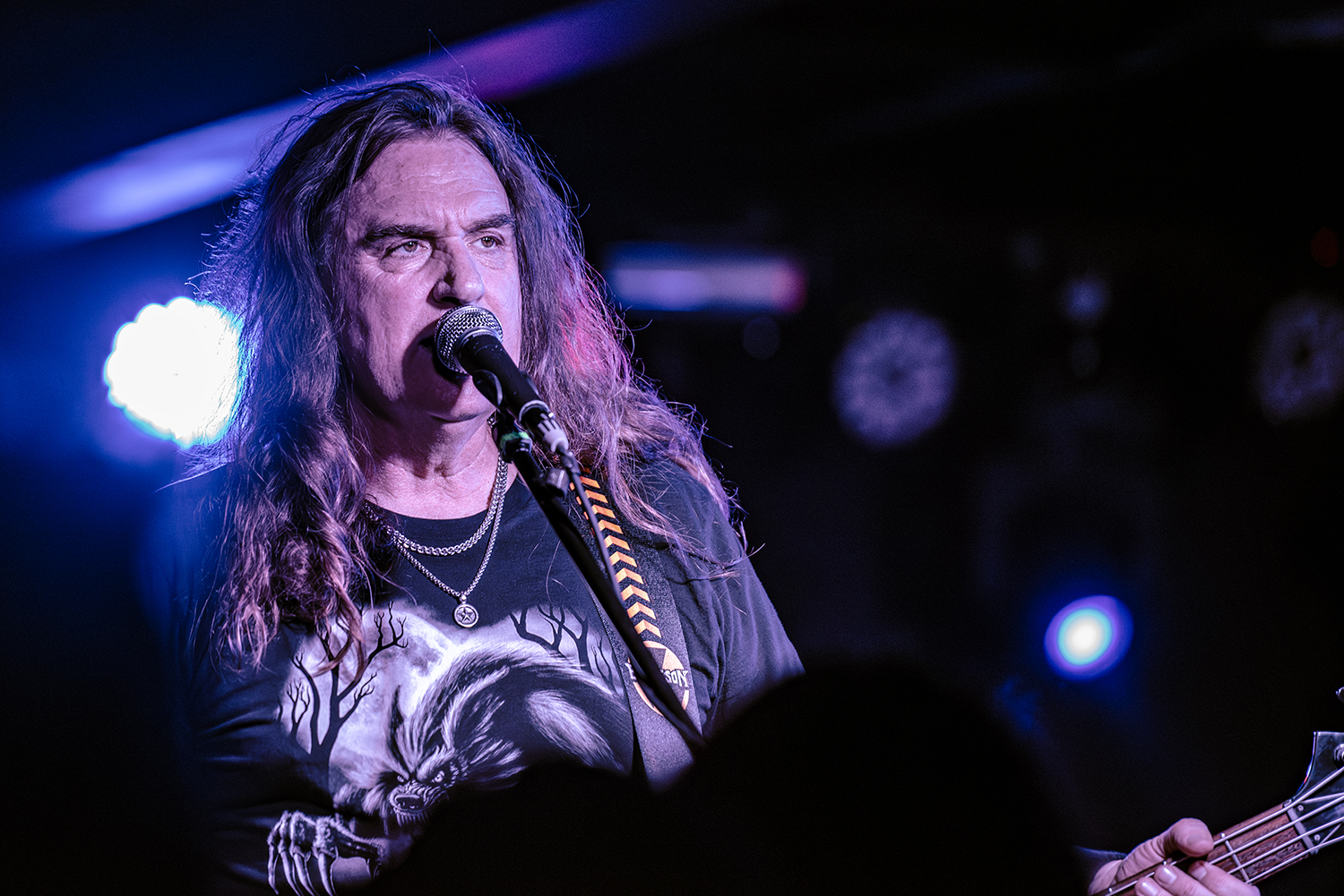 David Ellefson - Basstory